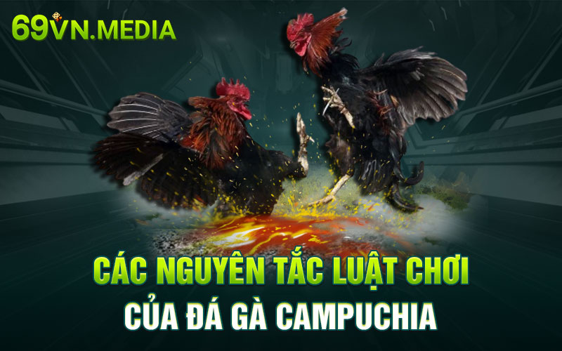 Các nguyên tắc luật chơi của đá gà Campuchia