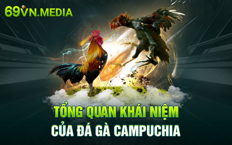 Tổng quan khái niệm của đá gà Campuchia