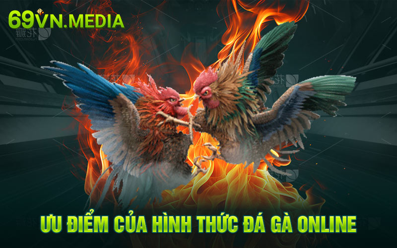 Ưu điểm của hình thức đá gà online